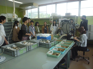 20150612_touhokudai1