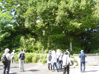 walking_20150927_2