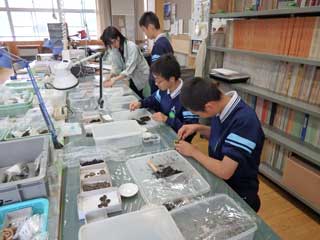 zaodai1_2_20160525