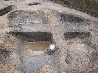 tenyaba_20070611_3.jpg