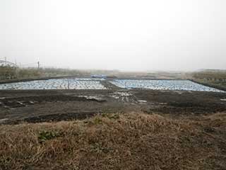 20111128_hattan_2