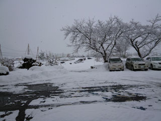 fuyu_2