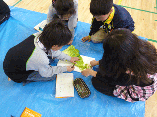 tyuubu_20120420_2