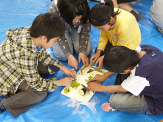 miyauchi_20120509_4
